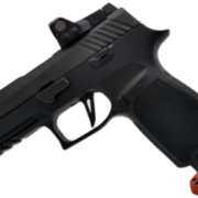 Sig P320 Full Size