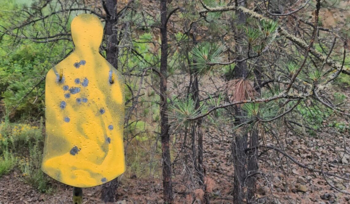 What Should You Do To Become a Better Sports Shooter gun safety trigger safe